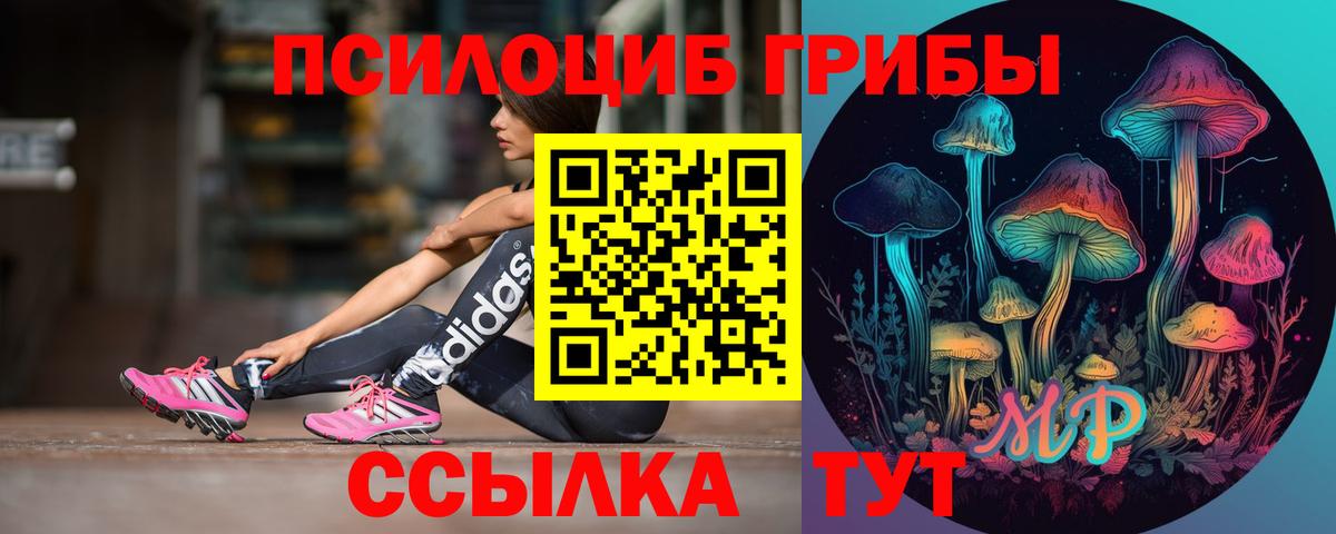 Псилоцибиновые грибы GOLDEN TEACHER  Вход с VPN  Конаково  Галлюциногенные грибы прущие грибы 